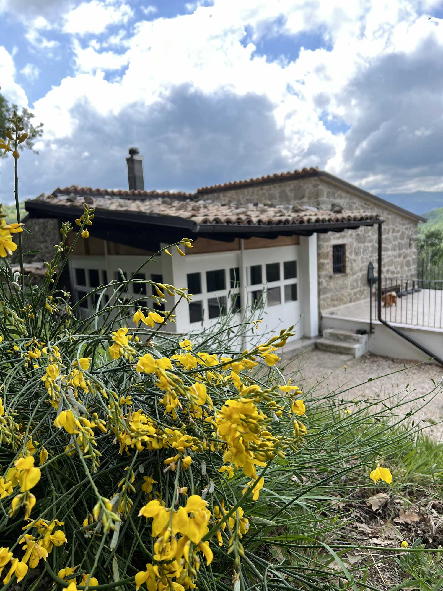 Holiday Experience Abruzzo - Palmoli - Casetta di Nonna Gemma